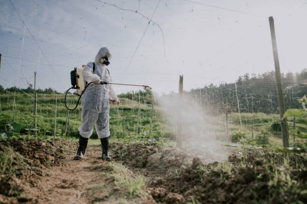 Best Affordable Pest Control Services  in Selbyville, DE