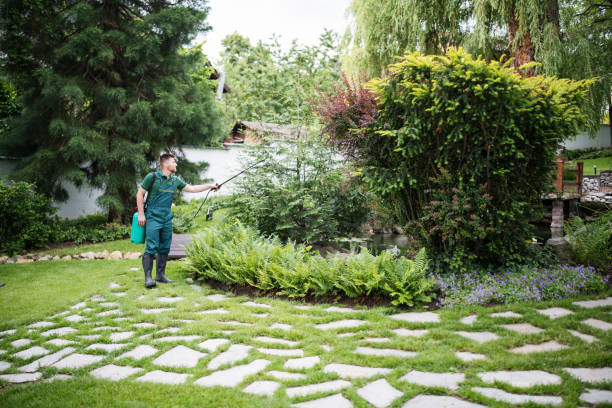 Best Best Pest Control Companies  in Selbyville, DE