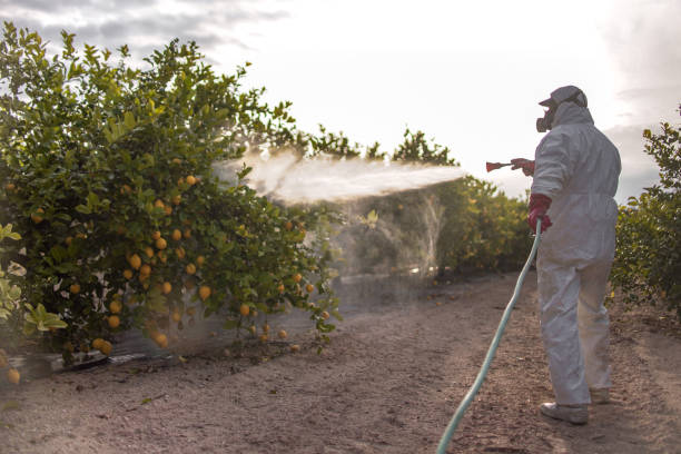 Professional Pest Control in Selbyville, DE