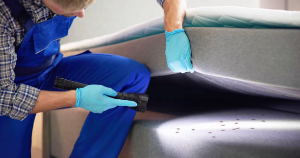 Best Rat Extermination Near Me  in Selbyville, DE